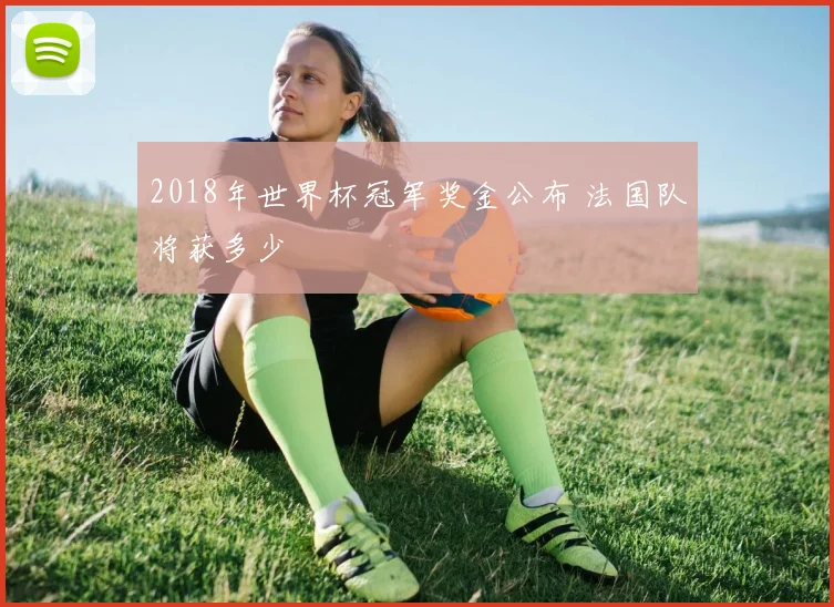 2018年世界杯冠军奖金公布 法国队将获多少