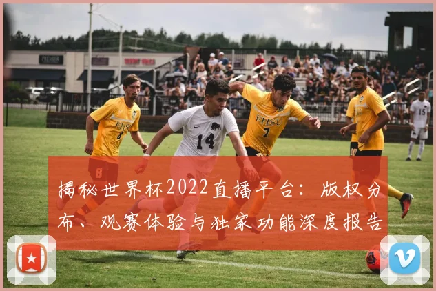 揭秘世界杯2022直播平台：版权分布、观赛体验与独家功能深度报告