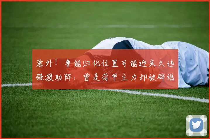 意外！鲁能归化位置可能迎来久违强援助阵，曾是荷甲主力却被辟谣