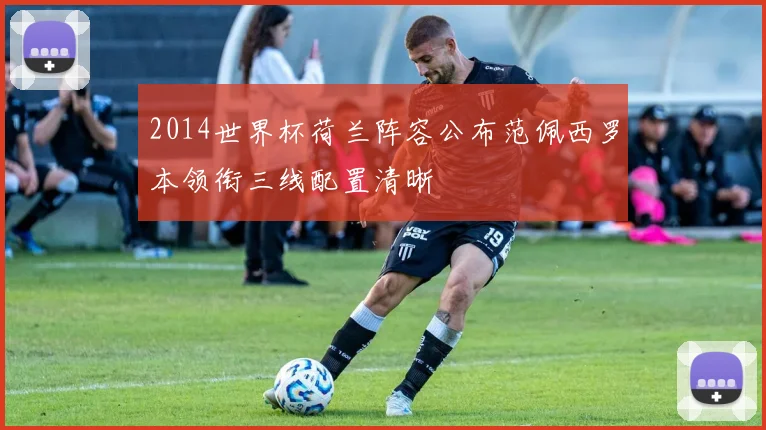 2014世界杯荷兰阵容公布范佩西罗本领衔三线配置清晰