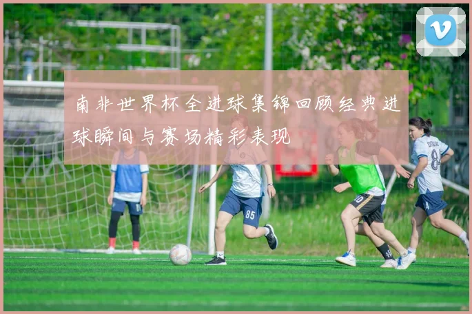 南非世界杯全进球集锦回顾经典进球瞬间与赛场精彩表现