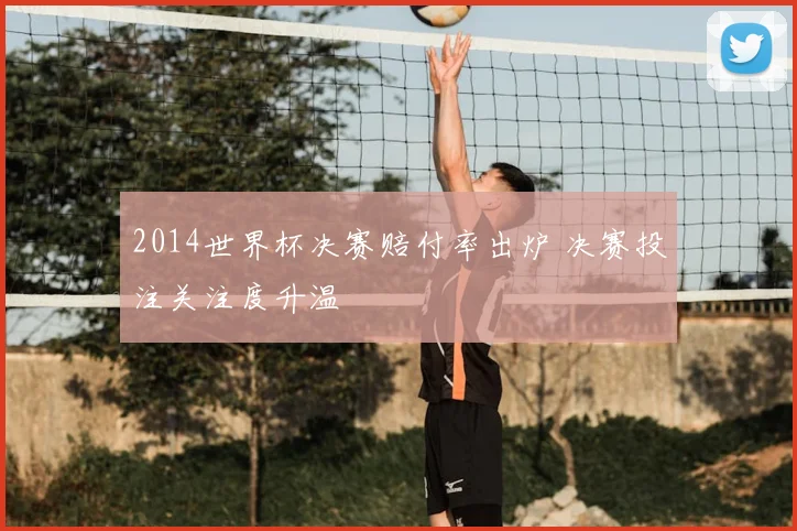 2014世界杯决赛赔付率出炉 决赛投注关注度升温