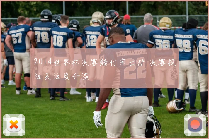 2014世界杯决赛赔付率出炉 决赛投注关注度升温