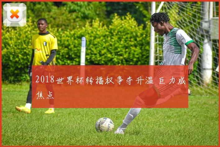2018世界杯转播权争夺升温 巨力成焦点