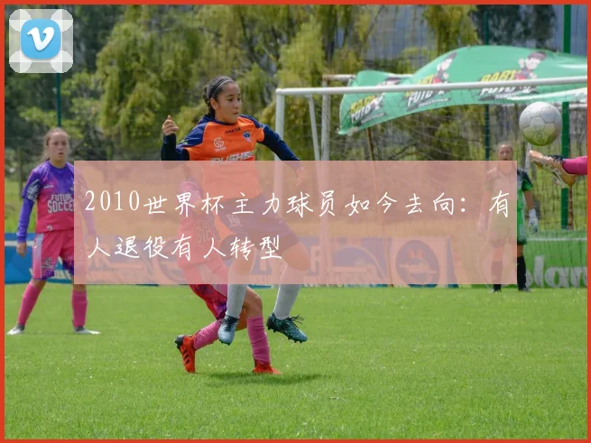 2010世界杯主力球员如今去向:有人退役有人转型