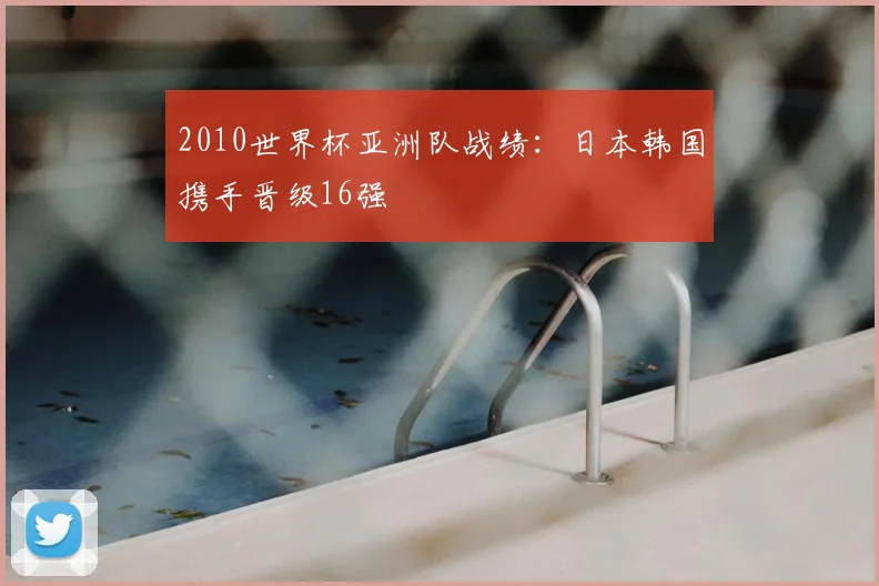 2010世界杯亚洲队战绩:日本韩国携手晋级16强