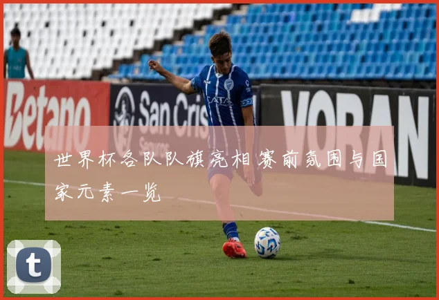 世界杯各队队旗亮相 赛前氛围与国家元素一览
