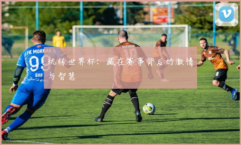 玩转世界杯：藏在赛事背后的激情与智慧