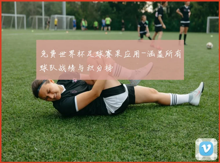 免费世界杯足球赛果应用-涵盖所有球队战绩与积分榜